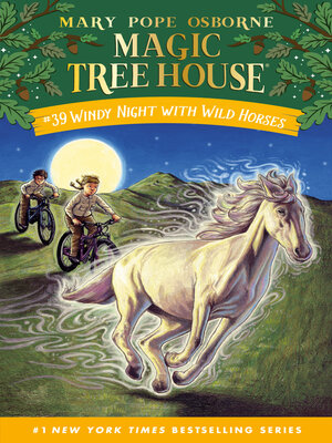 cover image of Windy Night with Wild Horses